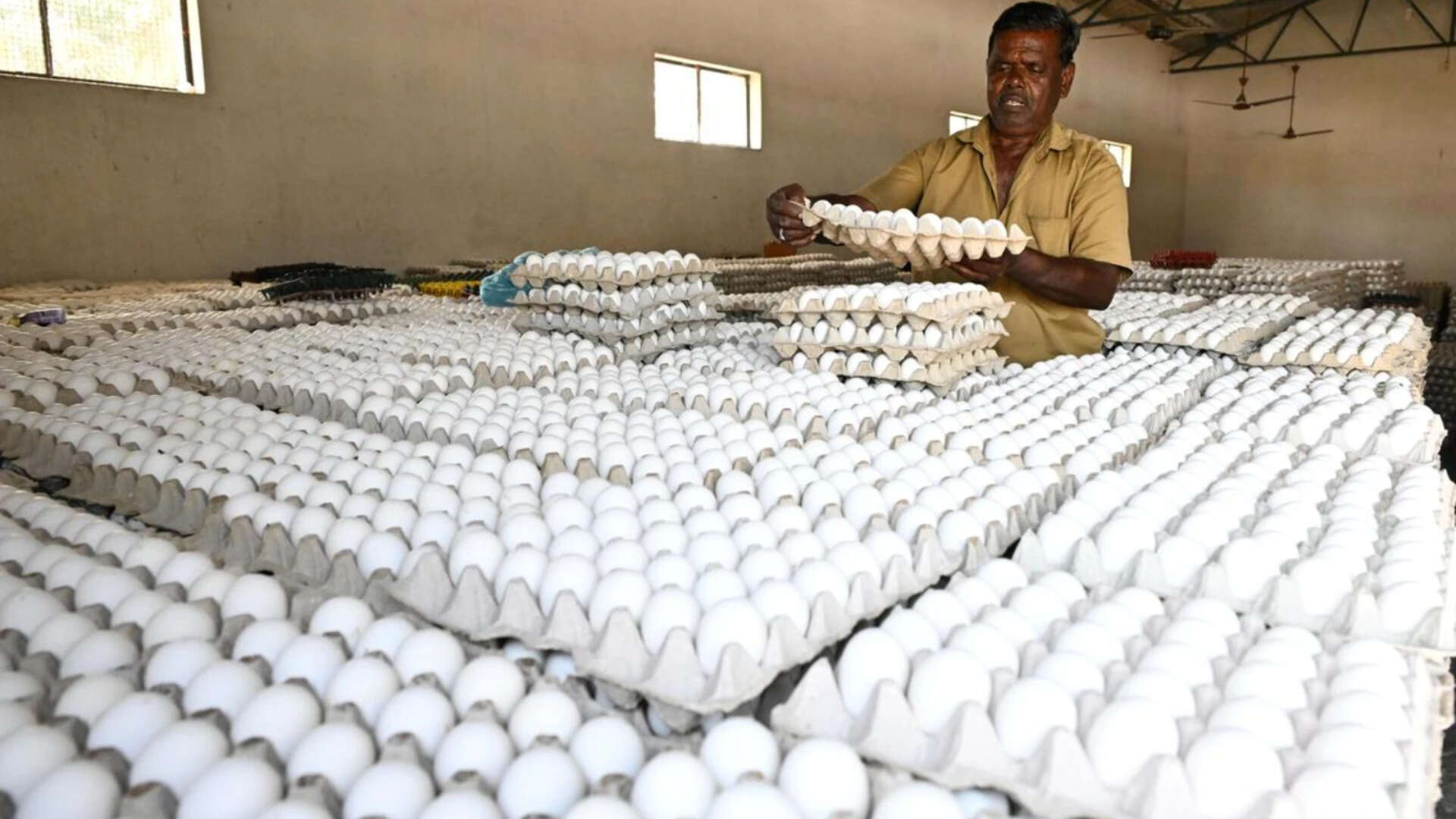 முட்டை விலை உயர்வுக்கு இதுதான் காரணமா – இன்றைய சந்தை விலையை தெரிஞ்சுக்கோங்க